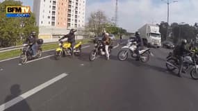 Des bikers sauvent un chien en danger sur l’autoroute
