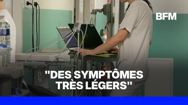 Hantavirus: ce que l'on sait du cas détecté chez un touriste ayant séjourné en France