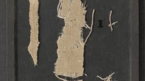 Les fragments de la tapisserie de Bayeux prélevés en 1941 par un scientifique nazi.