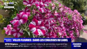 Villes et villages fleuris: dans les coulisses du label