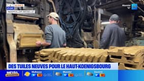 Des tuiles neuves pour couvrir la toiture du Haut-Koenigsbourg