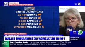 Île-de-France Politiques: quelles singularités de l'agriculture dans la région?