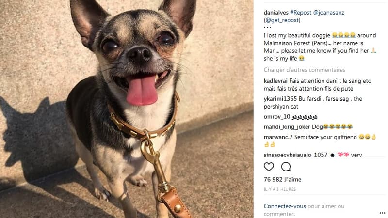 @danialves
