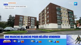 Adolescente tuée à Rouen: une marche blanche en hommage à Héloïse ce vendredi