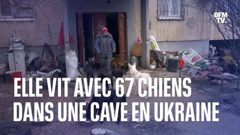 Ukraine: cette femme vit avec 67 chiens au sous-sol d'un immeuble