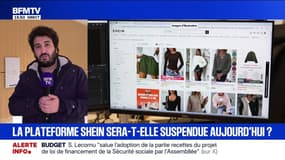 Le tribunal judiciaire de Paris étudie en ce moment la demande de suspension de Shein en France par le gouvernement