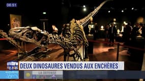 Sortir à Paris: Deux dinosaures vendus aux enchères