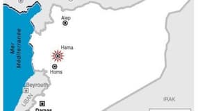 UNE SOIXANTAINE DE MANIFESTANTS TUÉS VENDREDI À HAMA EN SYRIE