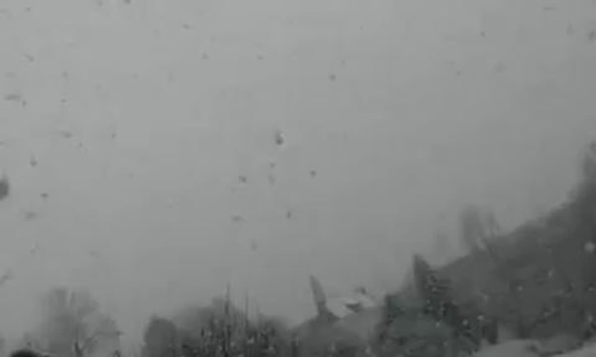 placeholder video