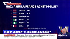 Peut-on vraiment se passer du gaz russe ? L'Edito de Guillaume Paul