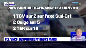 TCL et SNCF : des perturbations ce mardi