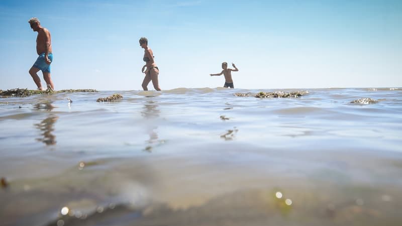 Attendre ou ne pas attendre pour aller se baigner quand on vient de manger, telle est la question