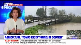 Inondations dans le Pas-de-Calais: un "fonds exceptionnel de soutien" pour les agriculteurs