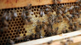 Photo d'illustration