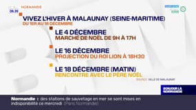 Seine-Maritime: un riche programme pour la période de Noël à Malaunay