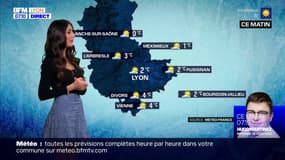 Météo Rhône: un vendredi entre soleil et nuages, 11 °C à Lyon
