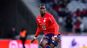 Direction Everton pour Amadou Onana