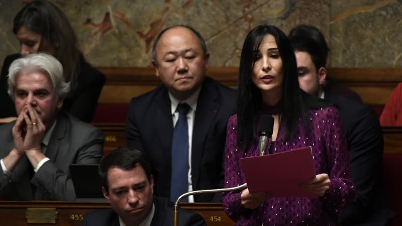 Alexandra Louis à l'Assemblée nationale, le 19 novembre 2019.