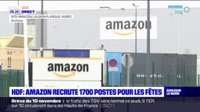Hauts-de-France: Amazon recrute 1700 postes pour les fêtes