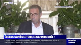Sapin de Noël: le maire EELV de Bordeaux déclare qu'il "ne mettra pas d'arbres morts sur les places de la ville"