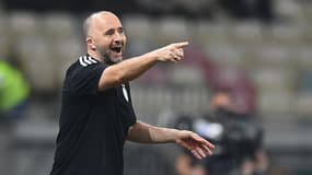 Algérie : Djamel Belmadi