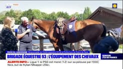 Brigade équestre 93: comment sont équipés les chevaux?