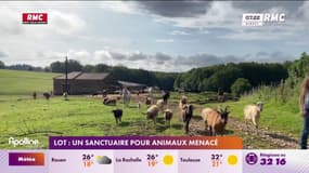Lot : un sanctuaire pour animaux menacé