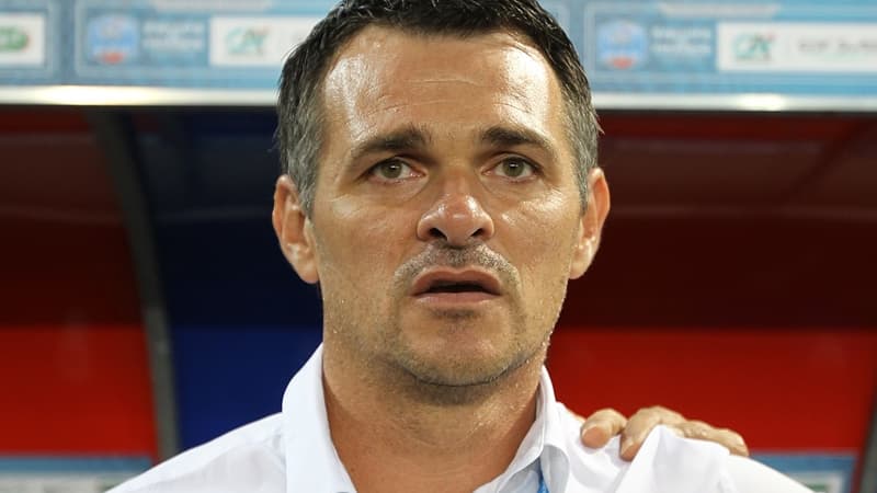 Willy Sagnol
