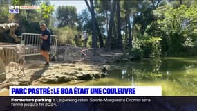 Marseille: le boa aperçu dans le parc Pastré était en fait une couleuvre