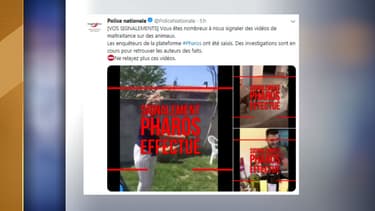 Plusieurs vidéos de maltraitance animale ont été signalées sur la plateforme Pharos.