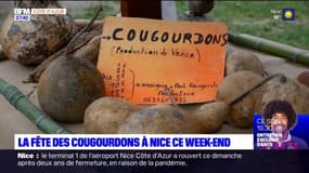 Nice: la fête des courgourdons a eu lieu ce week-end