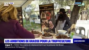 Alpes-Maritimes: un marché de producteurs de truffes ouvre à Grasse