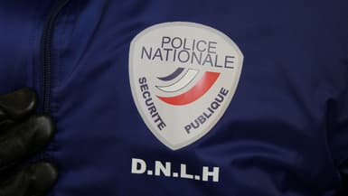 La Division Nationale de la Luttre contre le Hooliganisme (DNLH) - (illustration)