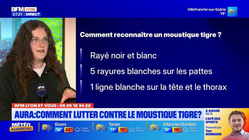BFM Lyon et Vous: comment lutter contre le moustique tigre?