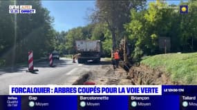 Forcalquier: des arbres centenaires coupés pour la construction d'une voie verte