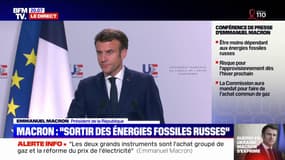 Caricature partagée par l'ambassadeur de Russie en France: "Ces publications sont inacceptables", réagit Emmanuel Macron