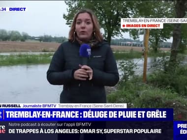Un épisode de grêle violent a touché la ville de Tremblay-de-en-France, en Seine-Saint-Denis