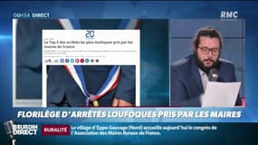 Contre les moustiques, la pluie... ces arrêtés municpaux pris par des maires