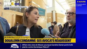 Doualemn condamné à cinq mois de prison: "une sanction mesurée" affirme son avocate