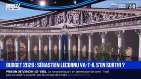 Budget 2026: Sébastien Lecornu va-t-il s'en sortir ?