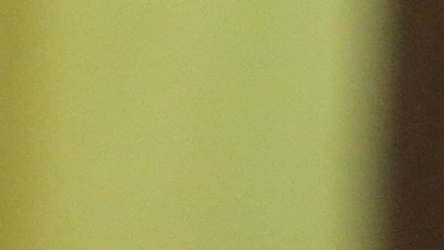 Michel Aoun est assuré d'accéder à la présidence du Liban. (Photo d'illustration)