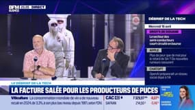 La facture salée pour les producteurs de puces - 16/04