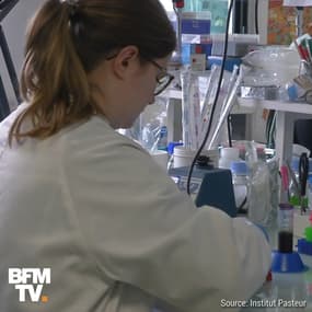 Comment se transmet le choléra ?