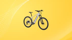 Intersport laisse tout le monde sans voix en affichant 300 euros de remise sur ce vélo électrique haut de gamme