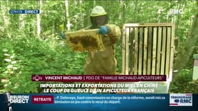 Le coup de gueule d'un apiculteur français contre le miel chinois