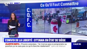 Qu'est ce que le "convoi de la liberté" qui bloque la ville d'Ottawa?