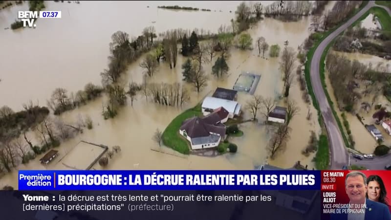 Bourgogne: la décrue ralentie par de nouvelles pluies
