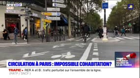 Circulation à Paris: l'impossible cohabitation?