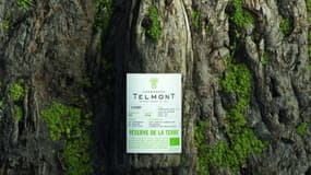 Telmont: les maisons de champagne de prestige se mettent au bio