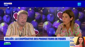 Var Business du mardi 3 septembre - Solliès : la coopérative des producteurs de figues
